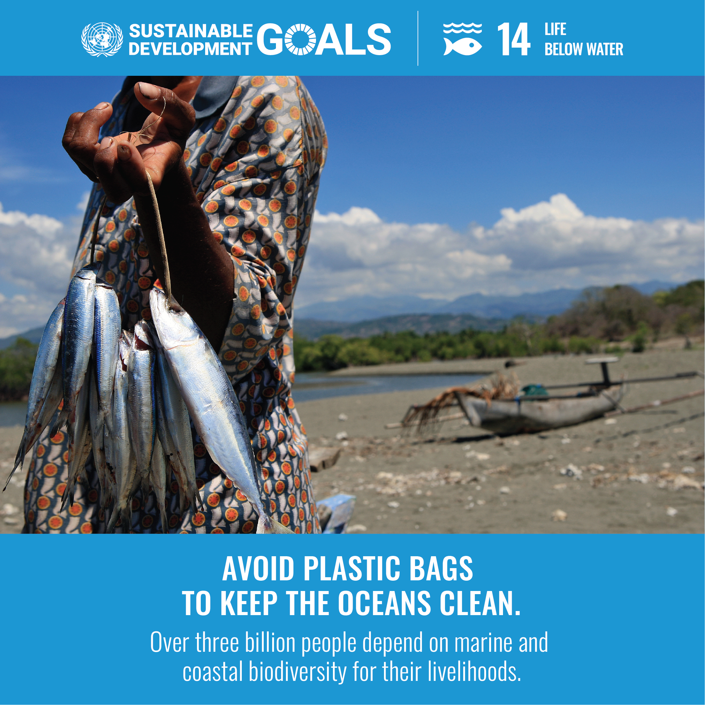 SDGs Goal 14